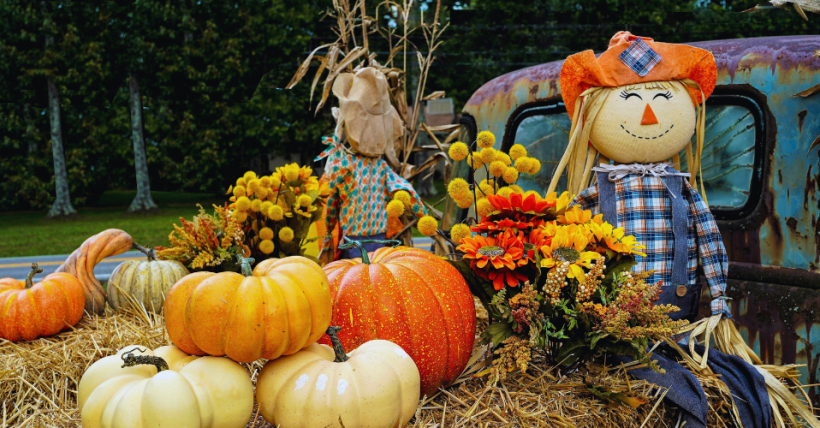 10 Cozy Fall Activities to Try This October